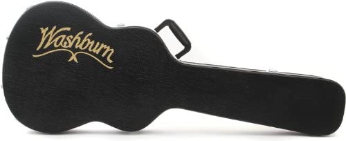 Washburn acoustic guitar deals case