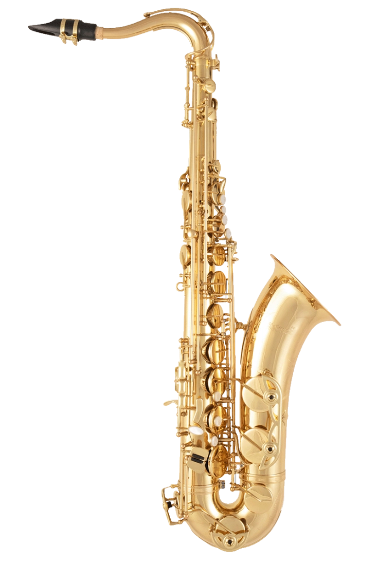 Selmer intermediate alto deals saxophone