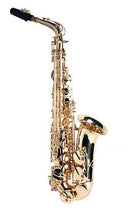 Previously Rented Sinclair Alto Saxophone Outfit