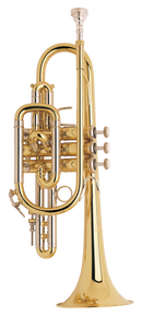 Bach 181ML Ensemble de Cornet Professionnel 