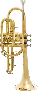 Bach CR301H Student Cornet Outfit