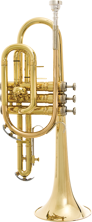 Bach CR301H Student Cornet Outfit