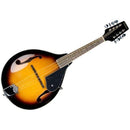 Alabama ALM20 Mandolin Rental - Student Standard