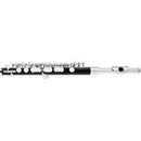 Armstrong USA Model 307 Piccolo