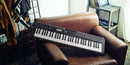 Casio 61-Key Portable Keyboard