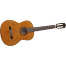 Cordoba C7 Solid Canadian Red Cedar Top Classical Guitar
