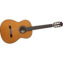 Cordoba C9 Solid Canadian Cedar Classical Guitar