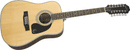 Epiphone DR-212 Songmaker 12-String Acoustic Guitar  - All You Need Music