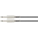 LEEM 10 foot instrument cable