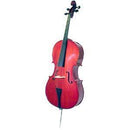 Menzel Solid Top Cello Outfit - 4/4
