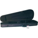 Menzel violin case
