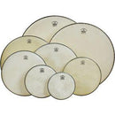 Remo Ambassador Fiberskyn drumheads