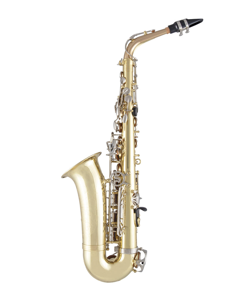 Selmer SAS301 Alto Saxophone Outfit