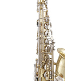Selmer SAS301 Alto Saxophone Outfit