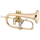 Ensemble de flugelhorn professionnel C.G. Conn 1FG 