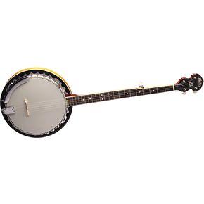 Washburn B9 5-String Banjo