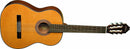 Washburn C40 Classical Acoustic Guitar