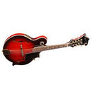 Washburn M3SWE Florentine Acoustic Electric Mandolin